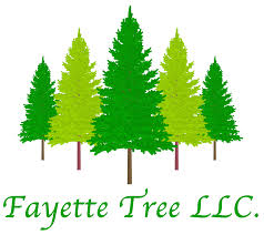 Fayette Tree
