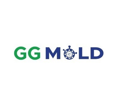Green Guard Mold Remediation of Commack