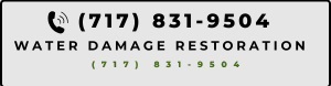 Water Damage Restoration Services in Wiconisco