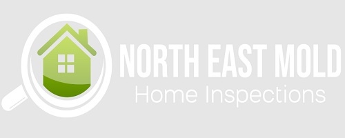 North East Mold