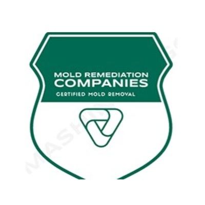 Fishers Mold Remediation Pros