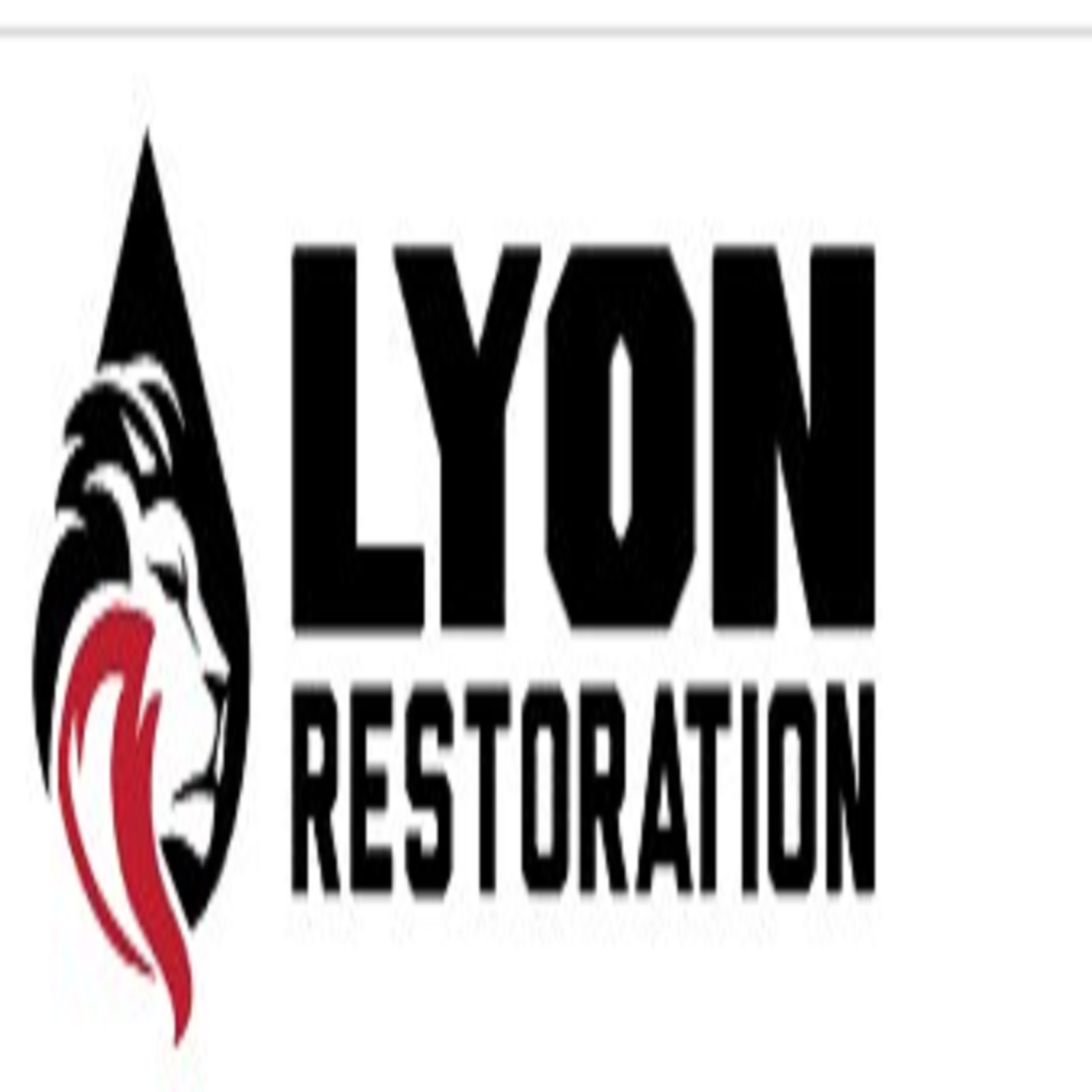 lyon restoration inc