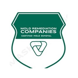 New Bedford Mold Remediation Pros