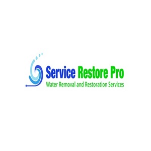 Service Restore Pro