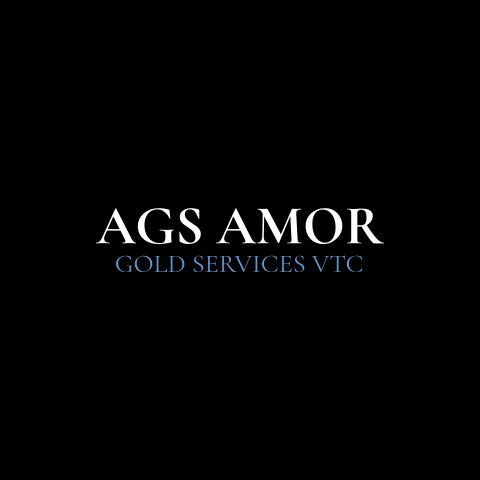 VTC/ DRIVER/ TAXI/ AIRPORT TRANSFER/ NICE / BOOKING / CANNES/ MONACO/ ST.TROPEZ/AGS-AMOR GOLD SERVICES