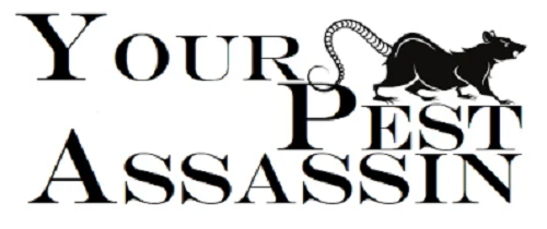 Your Pest Assassin