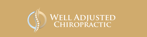 Well Adjusted Chiropractic - Arlington