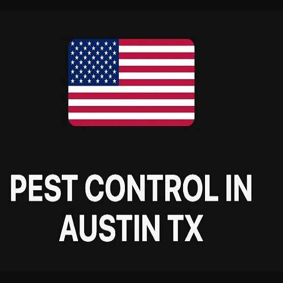 Pest Control in Austin TX
