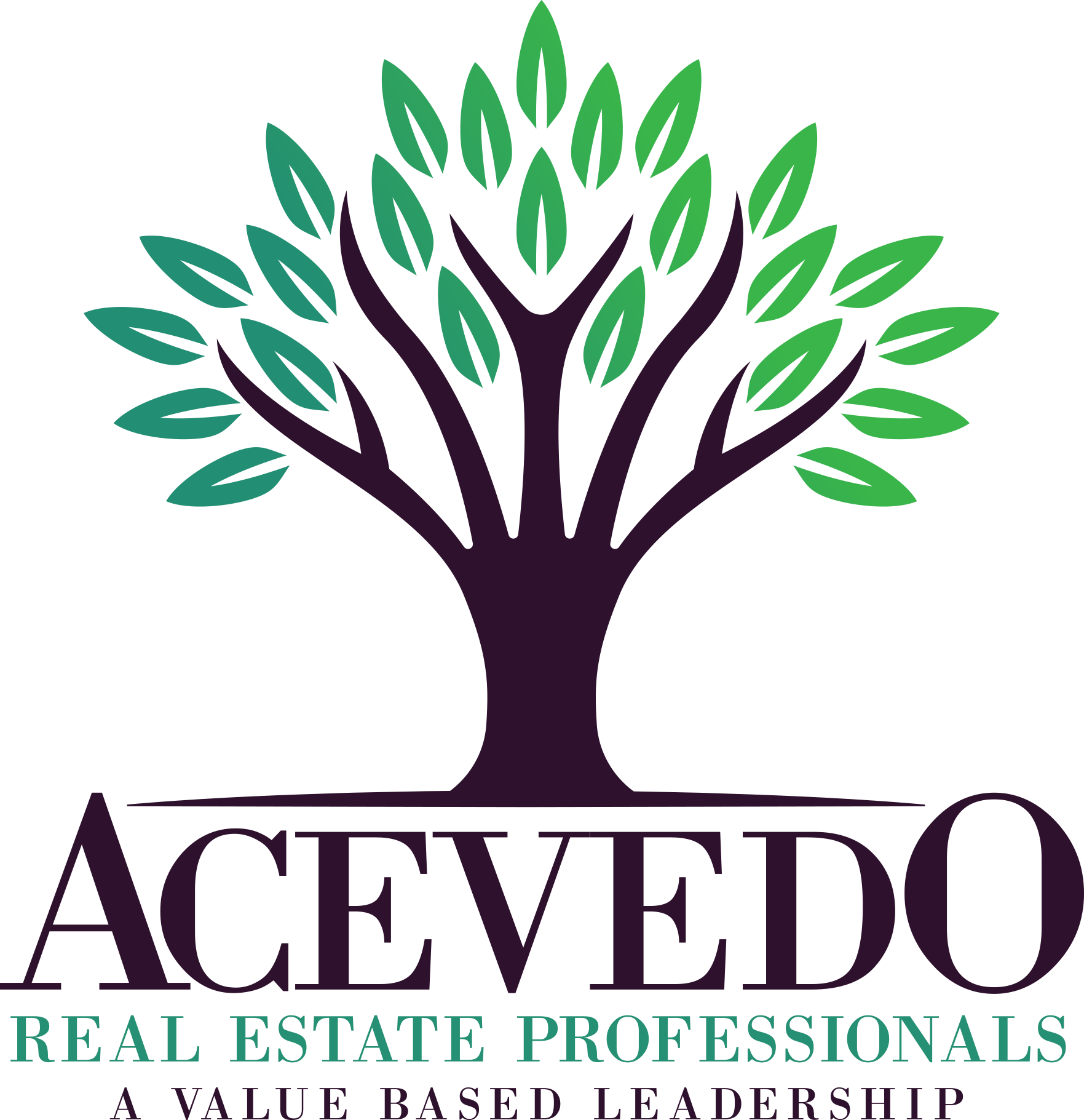 The Acevedo Team