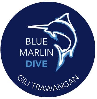 Blue Marlin Dive - Gili Trawangan