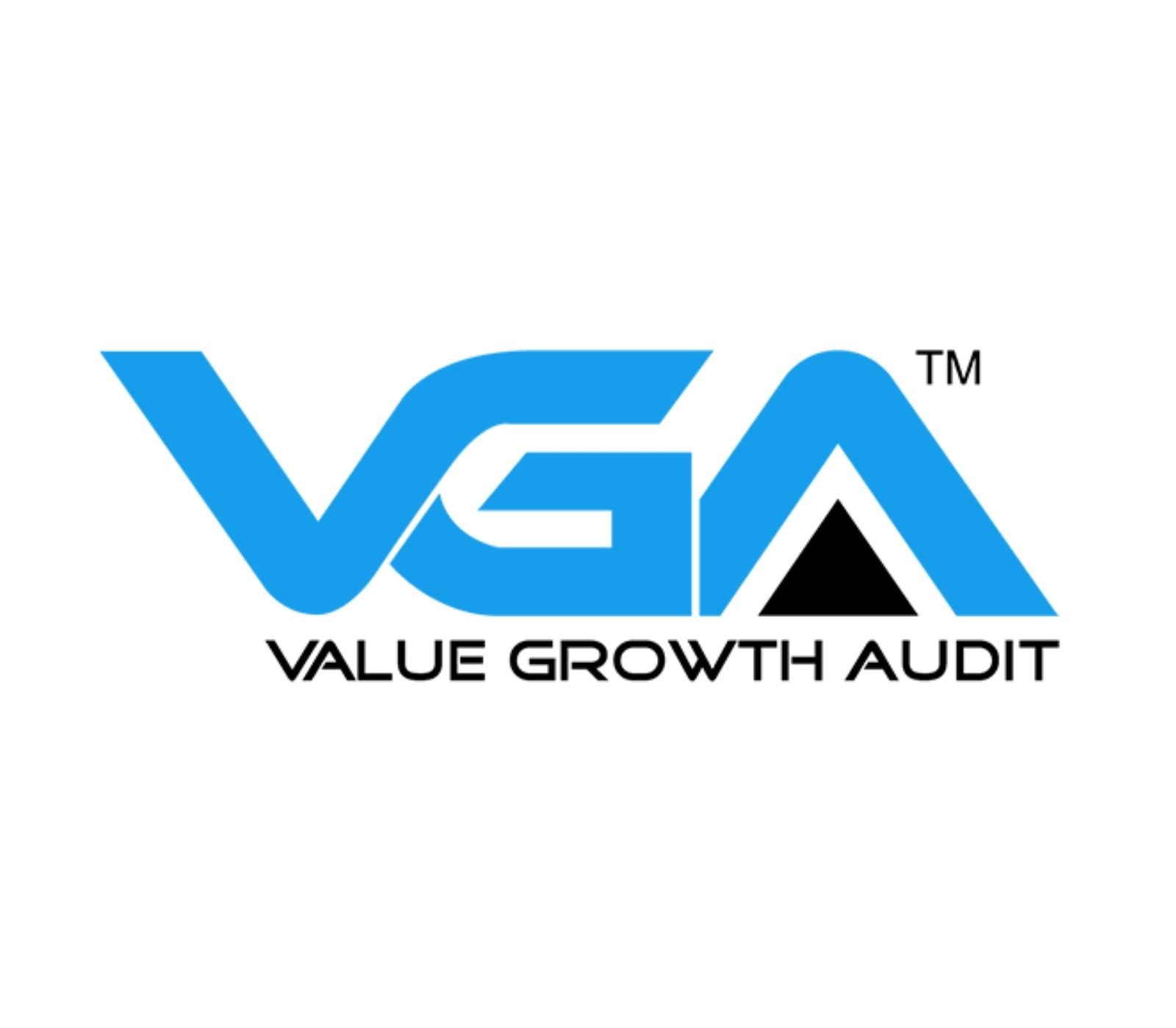 Value Growth Audit