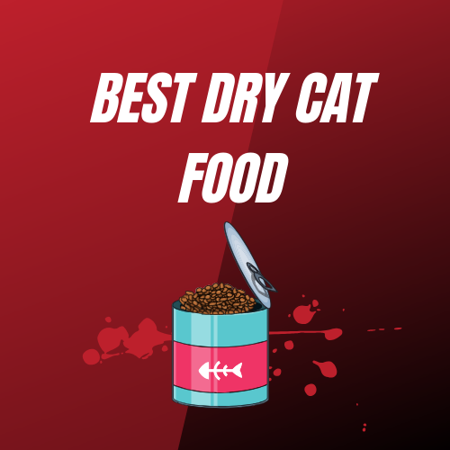 Best Dry Cat Food