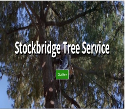 Stockbridge Tree Service