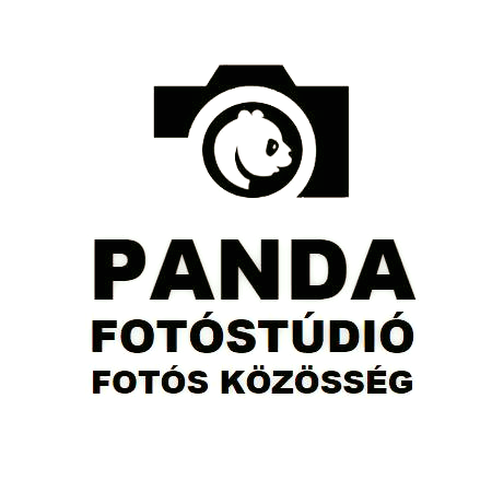 Panda Studio