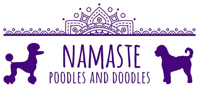 Namaste Poodles and Doodles