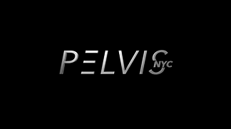 Pelvis NYC - Dr. Adam Gvili PT, DPT