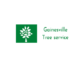 Gainesville Tree Service Pros