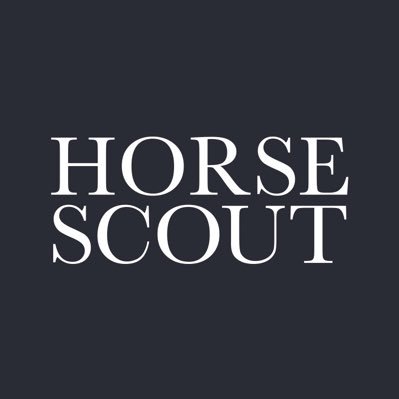 Horse Scout