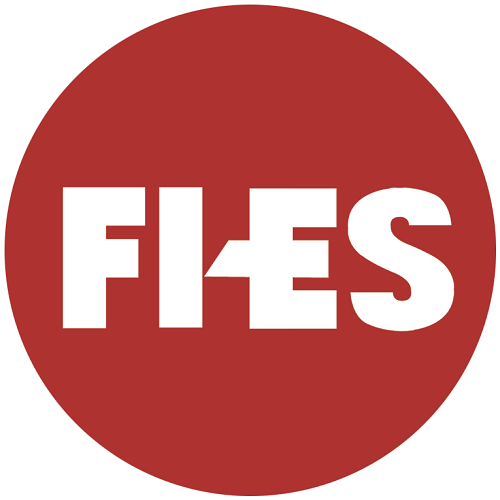 FI-ES Systems Pvt Ltd