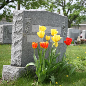 Family Funeral Home and Cremation Services LLC