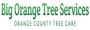 Big Orange Tree Services