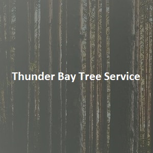 Thunder Bay Tree Service