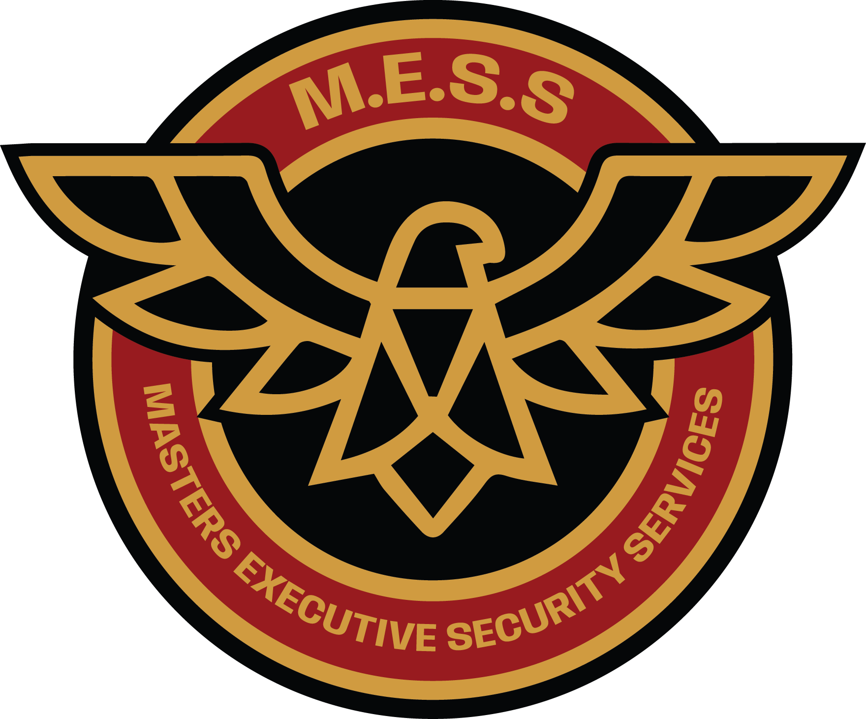 Masters Executive Security Services (MESS)