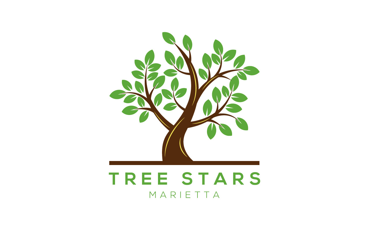 Tree Stars Services Marietta