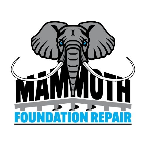 Mammoth Foundation Repair