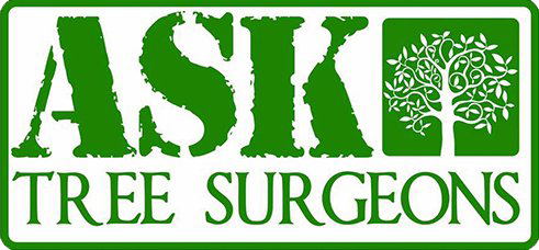Ask Tree Surgeons
