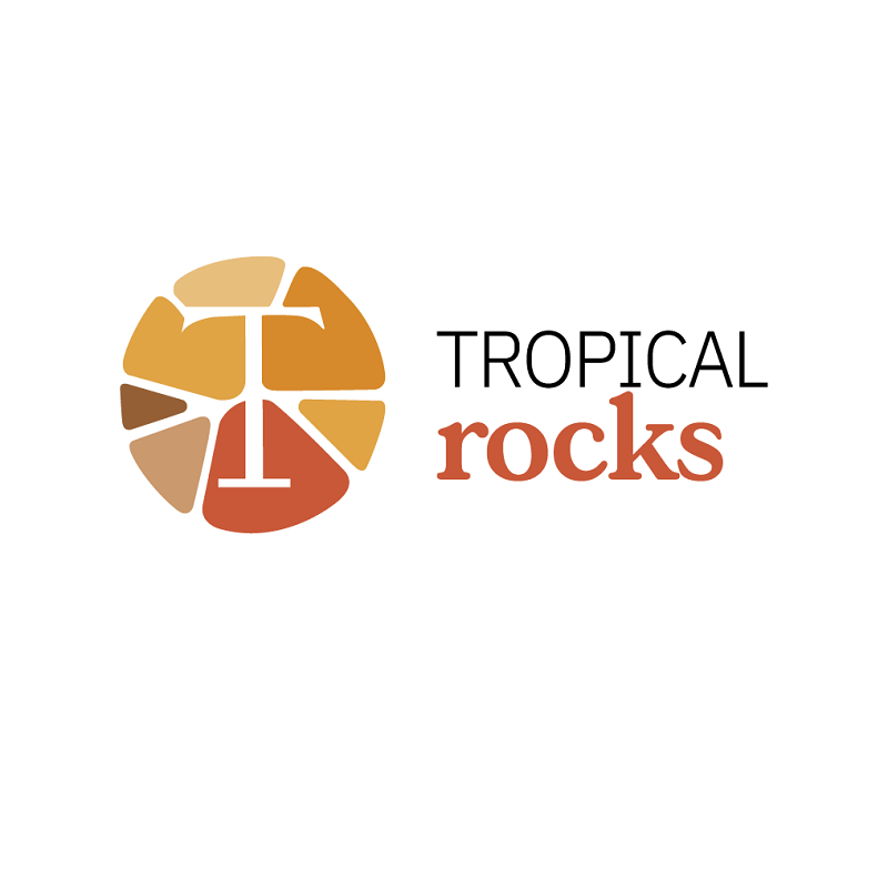 Tropical Rocks - Pool Rock Repair