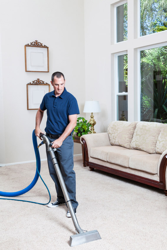 Carpet Cleaning Spring