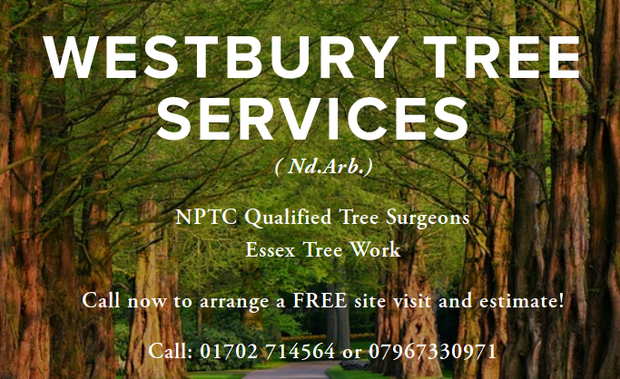 Westbury Tree Services