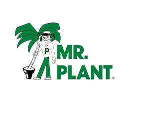 Mr. Plant