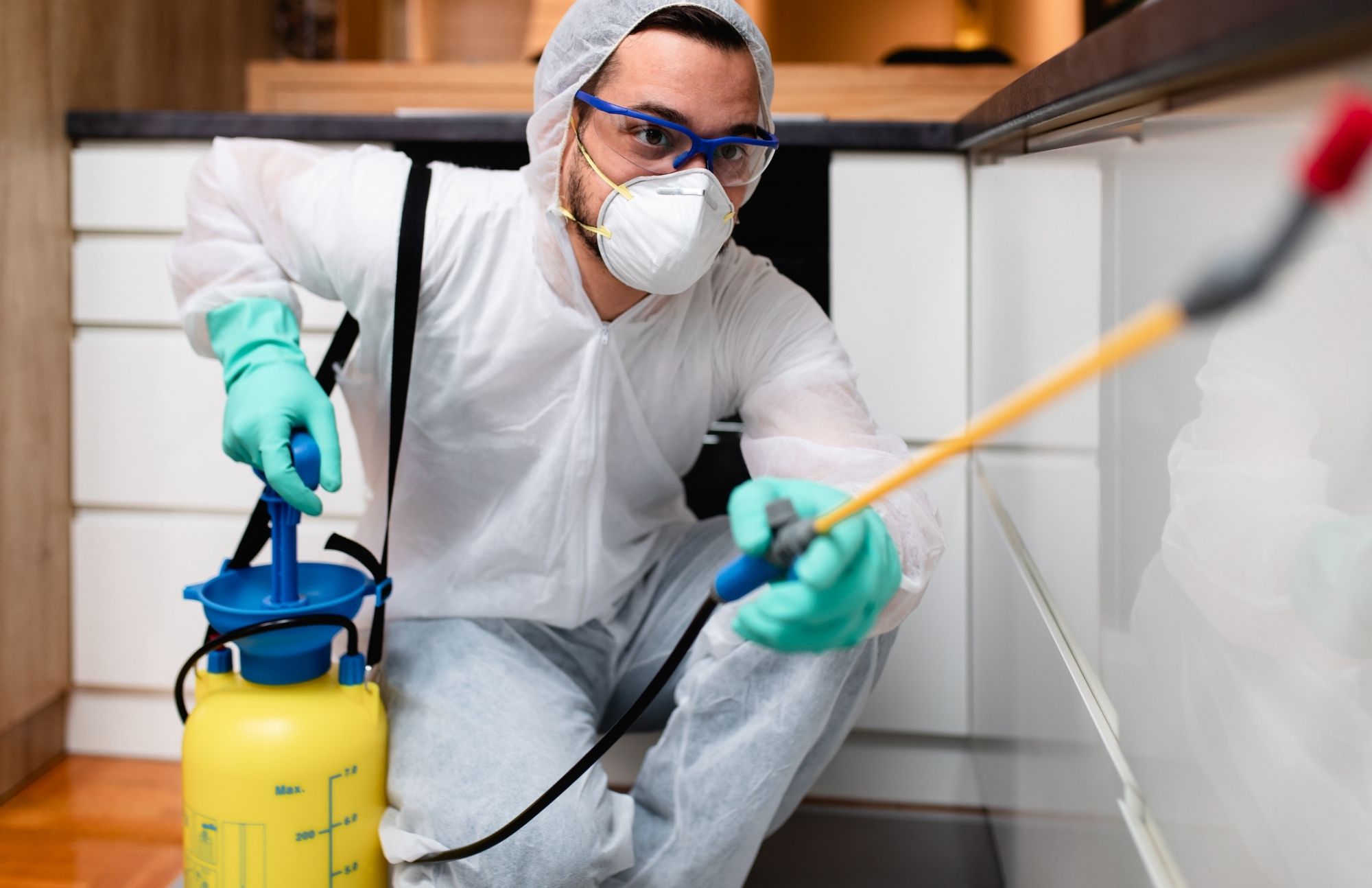 Pest Control Experts of Peoria