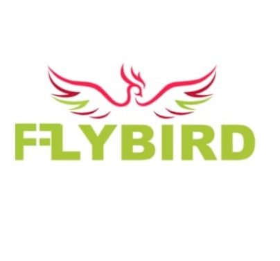 Fly Bird Taxis