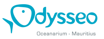 Odysseo