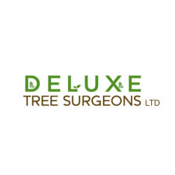 Deluxe Tree Surgeons Ltd