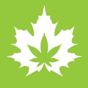 The House of Cannabis
