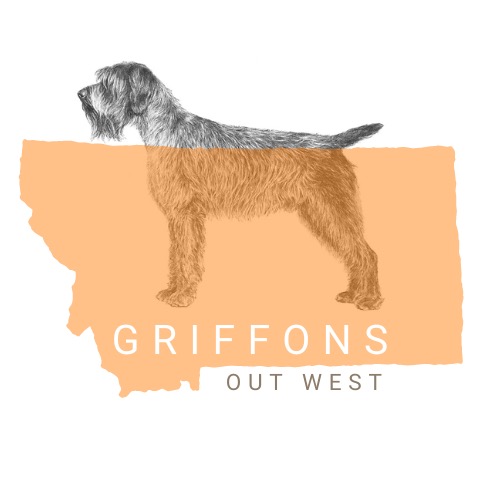 Griffons Out West