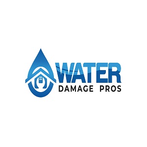 Cobb Water Damage Pros