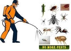 pest control