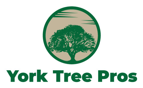 York Tree Pros