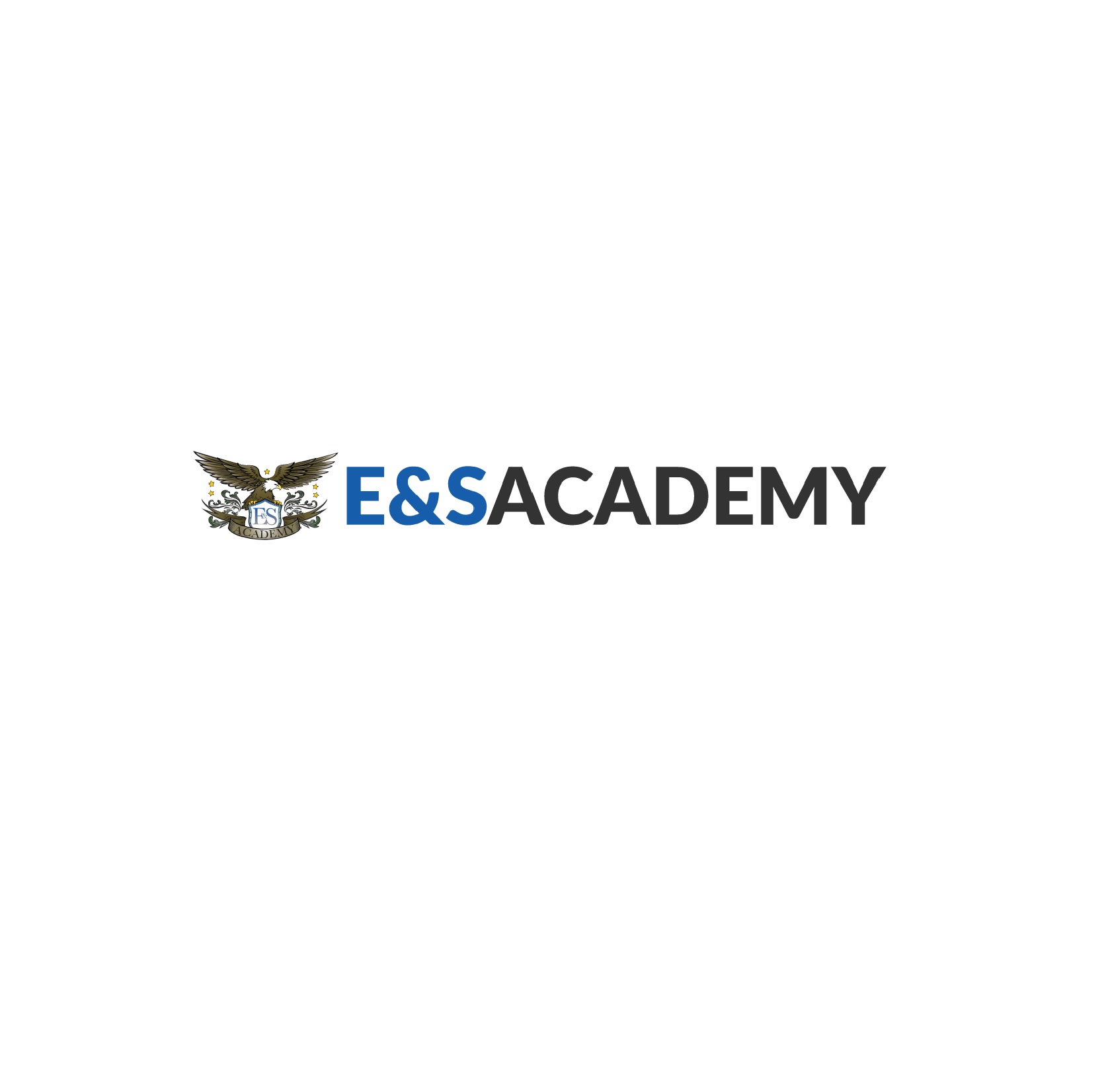 E&S Academy