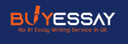 Essay Writing Firm UK