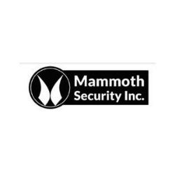 Mammoth Security Inc. Norwalk