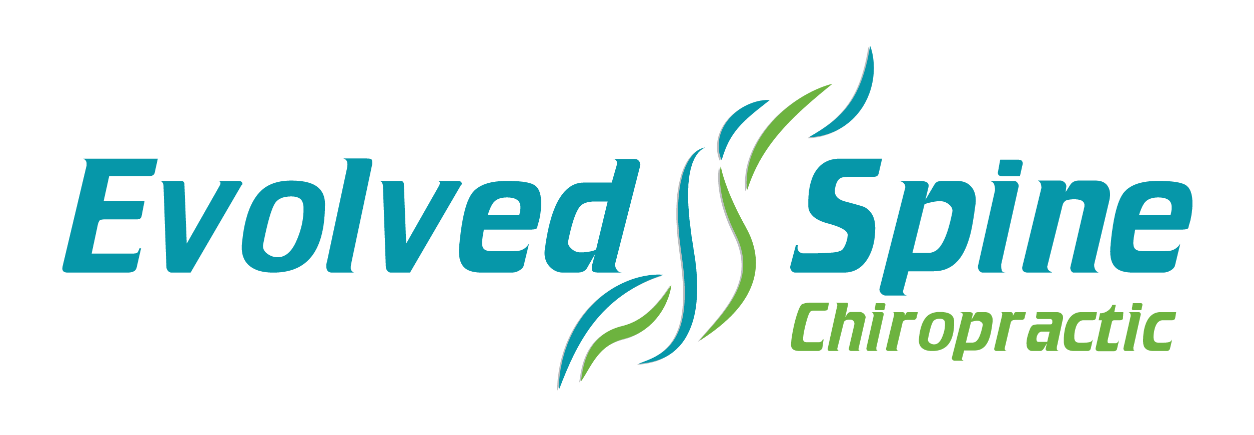 Evolved Spine Chiropractic