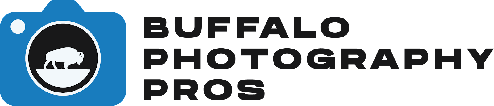 Buffalo Photography Pros