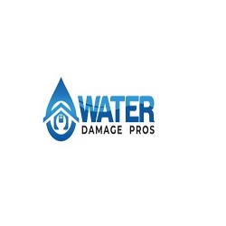 Newnan Newnan Damage Pros