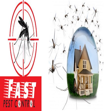 Fast Pest Control Melbourne